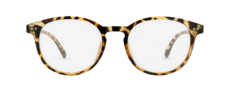 Vision